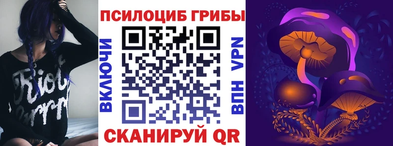 Галлюциногенные грибы Psilocybe  Купить  Суоярви 